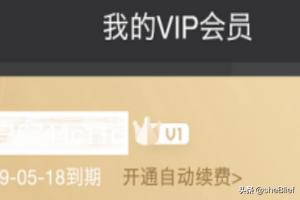 爱奇艺vip爱奇艺vip可以几个人一起使用