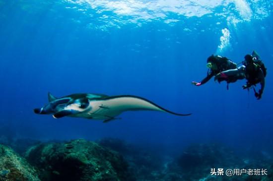 国外可以潜水的旅游景点,国外可以潜水的旅游景点有哪些