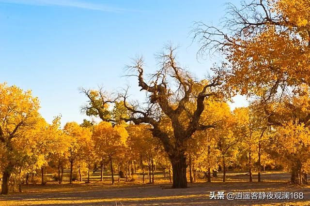 红原旅游城市攻略路线，红原旅游城市攻略路线图