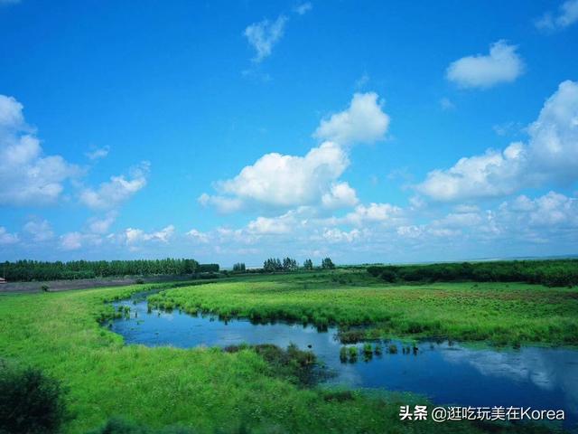 我的童话世界（编写童话故事的要求？）
