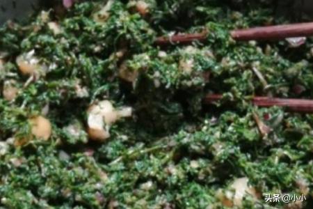 季菜 饺季菜饺子的做法(图9)