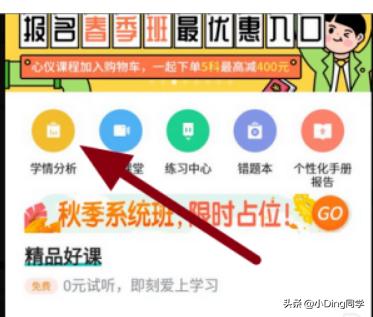 智学网学生成绩查询，智学网学生成绩查询入口官网