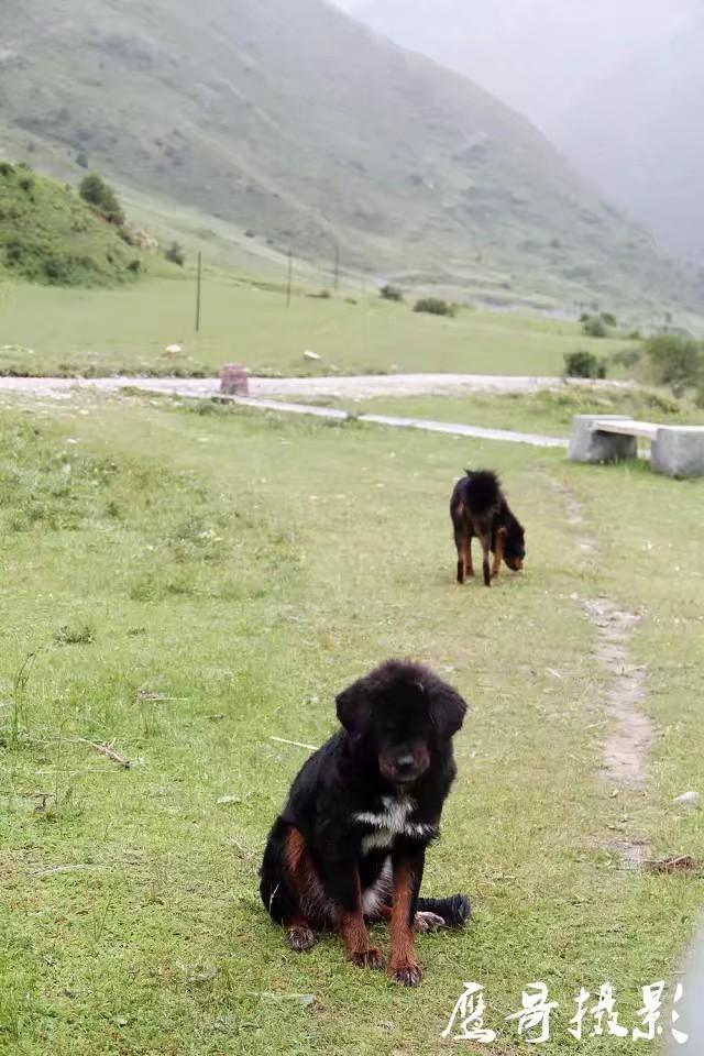 川藏线旅游几个人一起去比较好