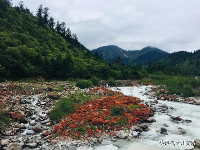 营口川藏线旅游攻略路线， 营口川藏线旅游攻略路线图