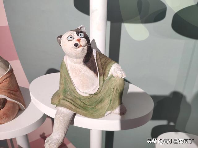 准备去接领养的猫咪，需要带些什么呢,第10张