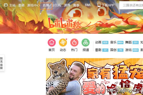 哔哩哔哩怎么领取B站up主粉丝勋章？：把哔哩哔哩