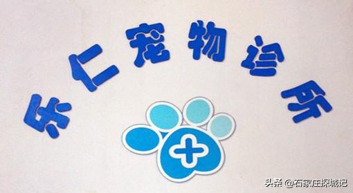 芭比宠物医院?芭比宠物医院的地址!
