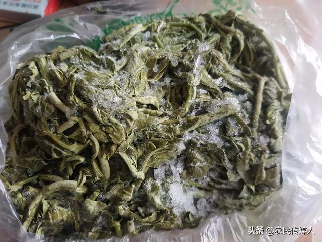 种植哪些树木最有前景?(20种)