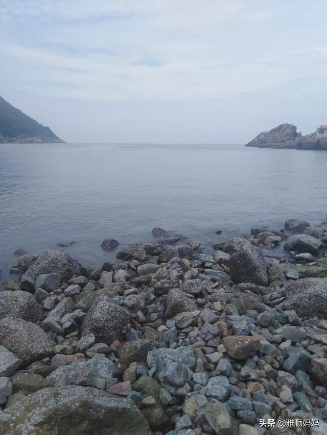 不想炒菜怎么做有肉吃(图7)