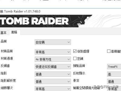 古墓丽影10配置
