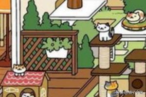 猫咪后院新手攻略 - 金鱼刺身吸引猫咪