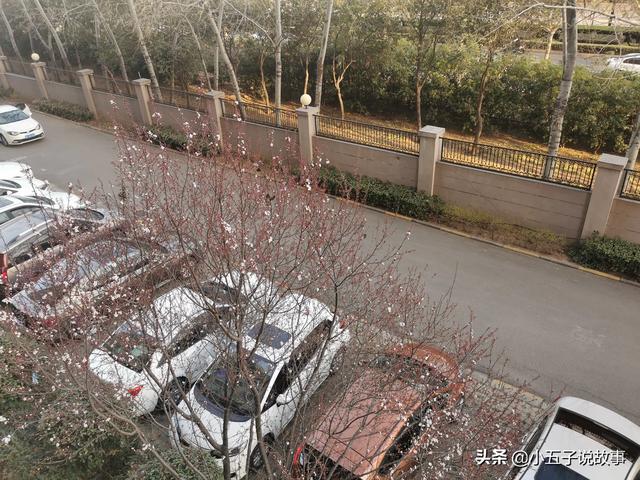 奥拓二手车评估，奥拓二手车评估价格