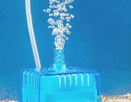 水妖精的正确使用