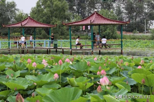 绥化旅游-绥化旅游景点大全排名