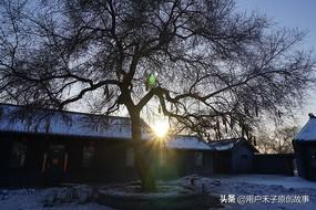 不现实的女人没好下场(图11)