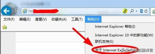[ie浏览器手机版]手机上能用ie浏览器吗？