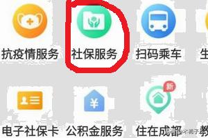 成都社保个人查询入口_天府市民云如何查看社保信息？