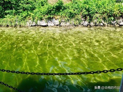 碧绿碧绿的什么(碧绿碧绿的什么像什么怎么造句)