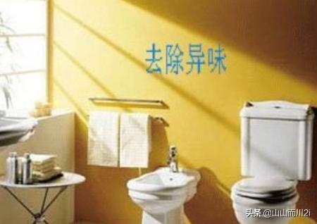白酷有什么作用和功效(图5)