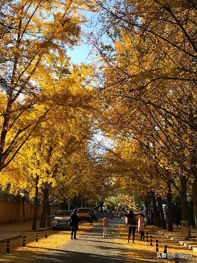 三月北京旅游景点推荐，三月北京旅游景点推荐一下