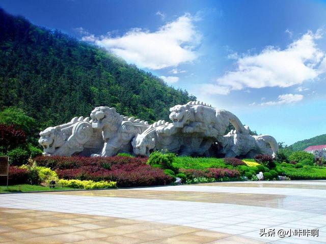 大连市老虎滩是哪个区