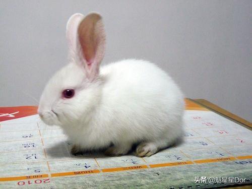 59c802b7e5914320972b2b7fd90ac23b