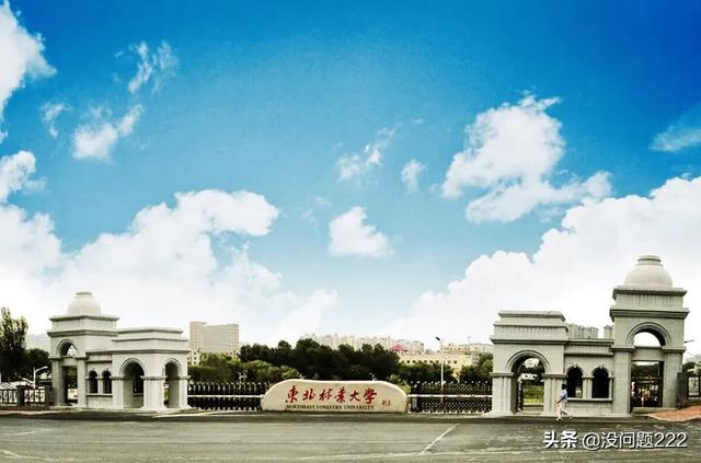 黑龙江林业大学 （黑龙江林业大学录取分数线2023）