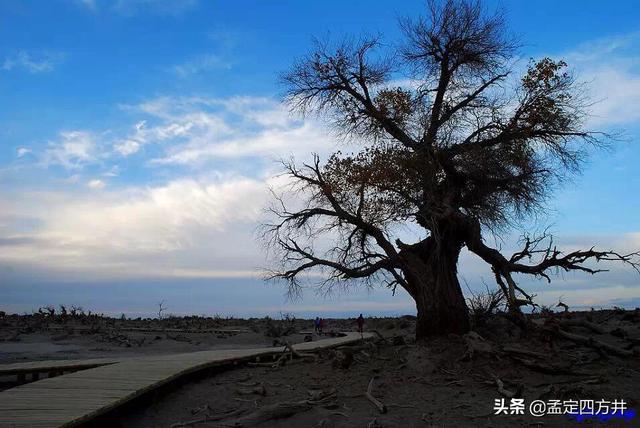 额济纳胡杨林最佳观赏时间（额济纳旗旅游最佳时间是什么时候？）