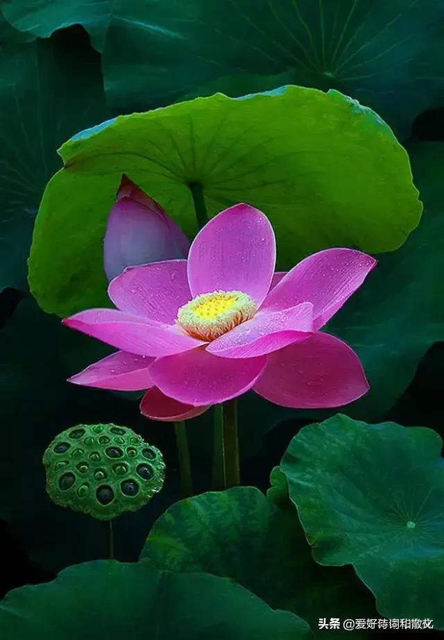 女人的微信名什么最好(图19)