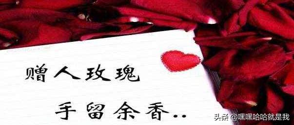 图片素材玫瑰花（图片玫瑰花的图片唯美带字）