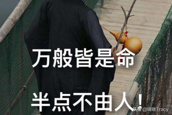 万般皆是命（万般皆是命的下一句）