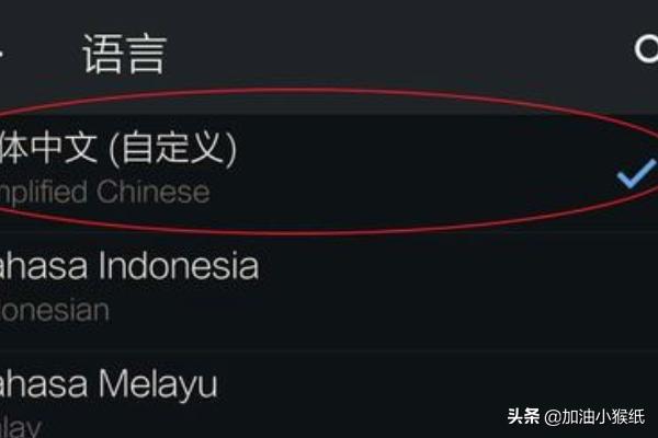 纸飞机怎么下载注册视频