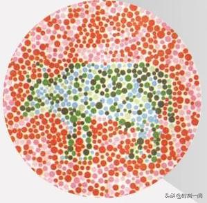 色盲色弱测试图及答案(驾照体检色盲图有几张？)