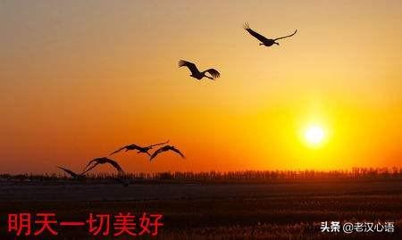 明明是渣男[快穿]（明明是个暗恋狂免费阅读全文）