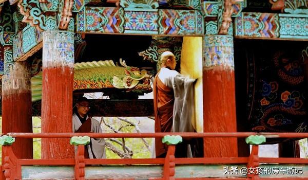 去釜山必去的景点推荐(图8)