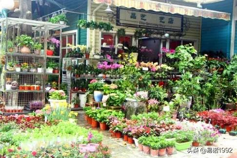 沈阳市鲜花小镇在哪个区