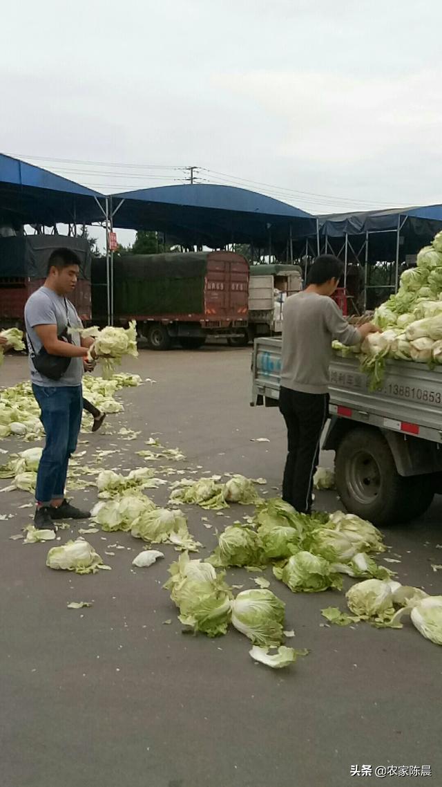 土壤污染的危害?土壤污染的危害有哪些!