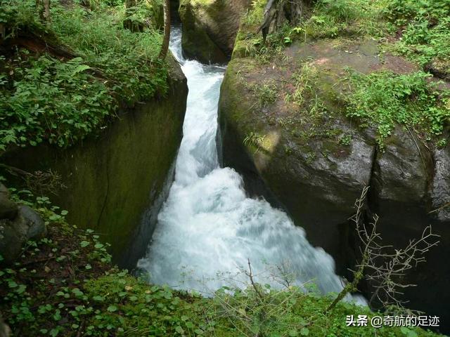 浙江省丽水市松阳县纸飞机账号购买经验
