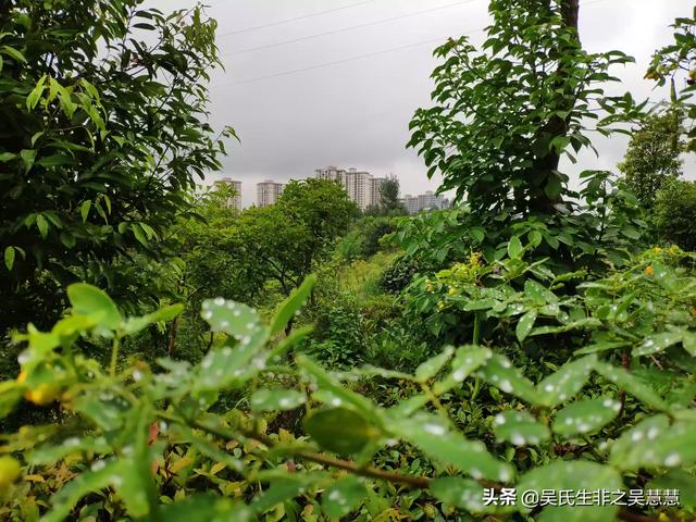 大家操（我怀孕了，老公不在身边，家里人什么都不让干，每天好无聊呀，谁能告诉我该怎么打发时间？）