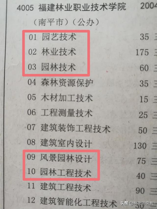 怎样进行校园绿地设计？：校园绿地园林景观设计