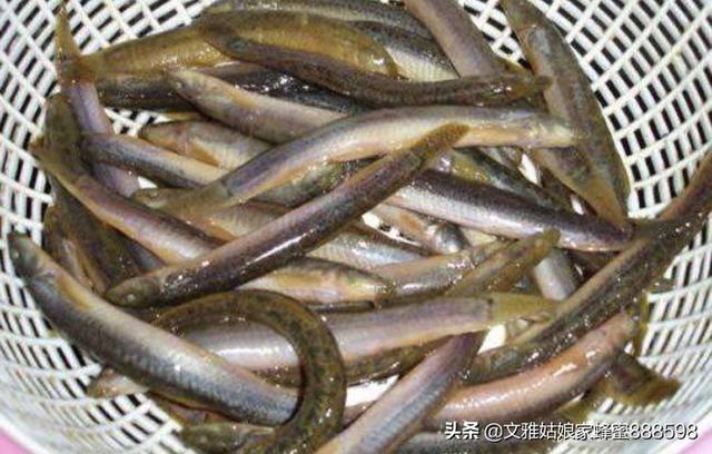 佛山市台湾商品店在哪里