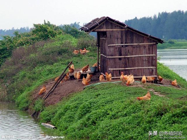 农业水产养殖课程总结怎么写，农业水产养殖课程总结怎么写啊