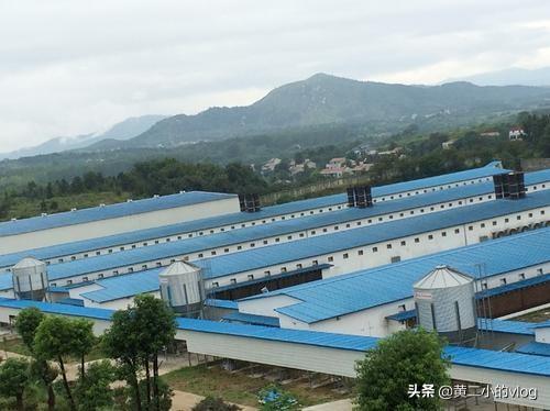 牧场图片牧场图片高清