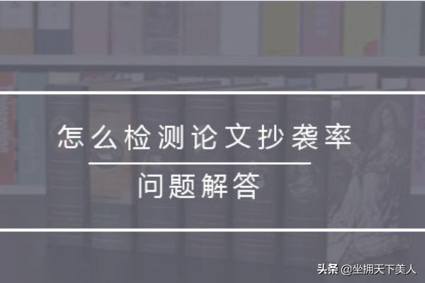 论文抄袭检测大师-论文抄袭检测大师会怎么样