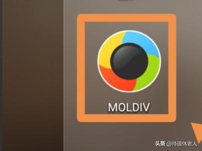 moldiv闪退怎么解决？：moldiv