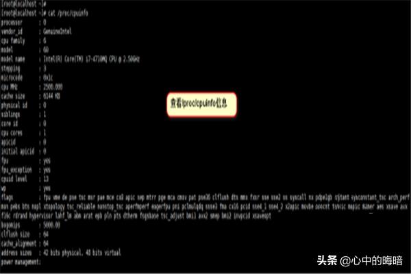 Linux支持的CPU有哪些？linux查看cpu个数命令？
