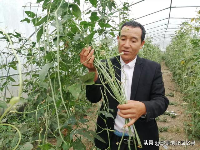 洛阳果园种植基地有哪些,洛阳果园种植基地有哪些地方