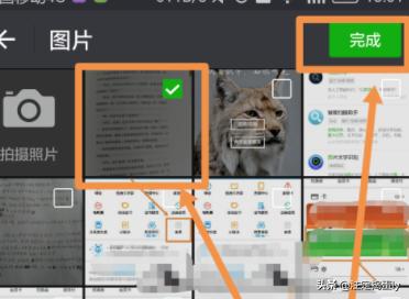 传图识字传图识字免费版