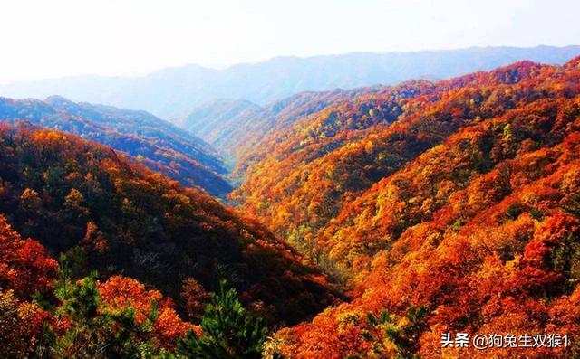 资兴旅游穿搭新疆， 资兴旅游网