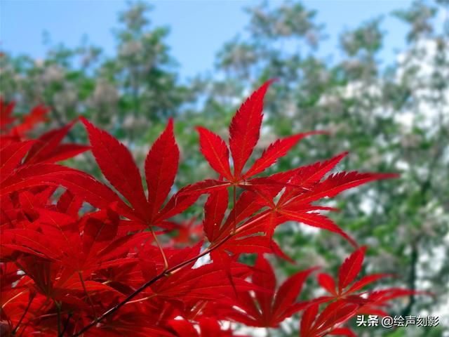 济南市里公园哪个好玩儿